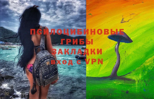 PSILOCYBIN Заволжье