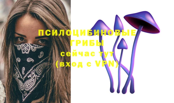 ECSTASY Заволжск