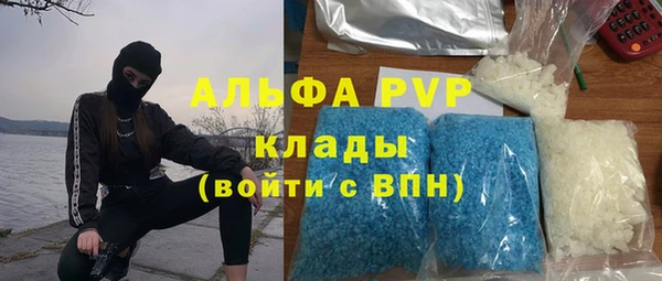 PSILOCYBIN Заволжье