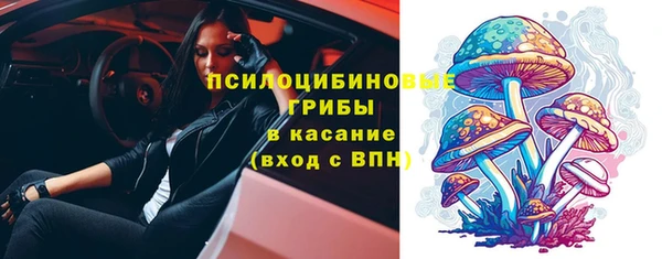 ECSTASY Заволжск