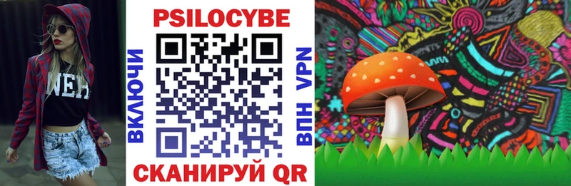 Купить где  Избербаш  Псилоцибиновые грибы Magic Shrooms 